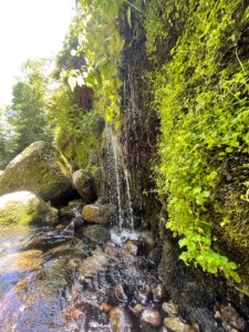 Canyon de la Haute Besorgues en Ardèche